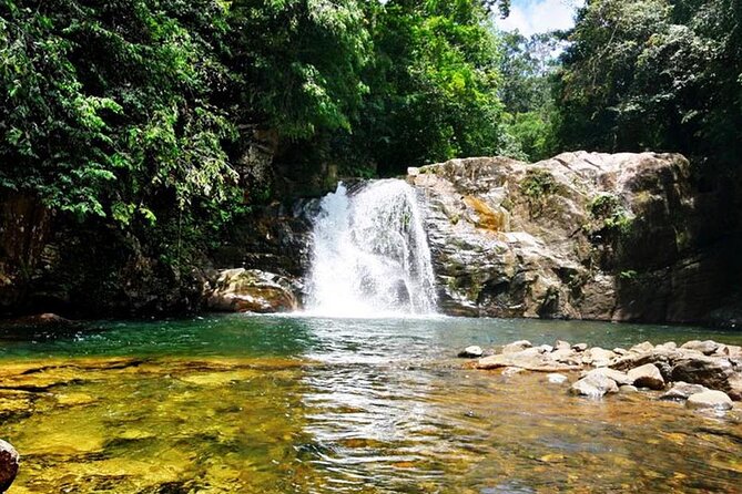 Sinharaja Rain Forest Tour from Tangalle - Who Should Consider This Tour?