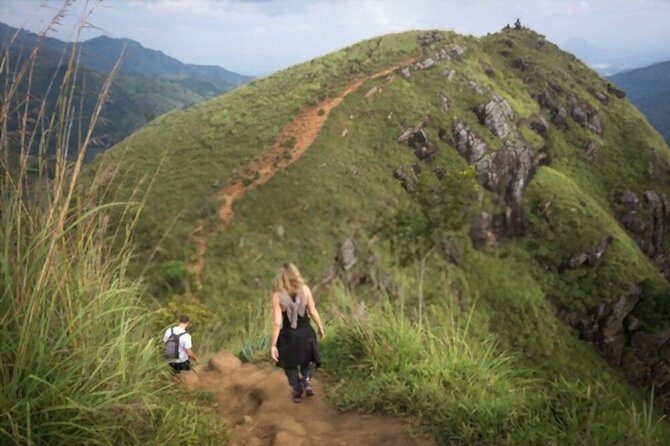 Ella Day Tour from Mirissa/Tangalle/Waligama - Early Morning Pickup and Transit