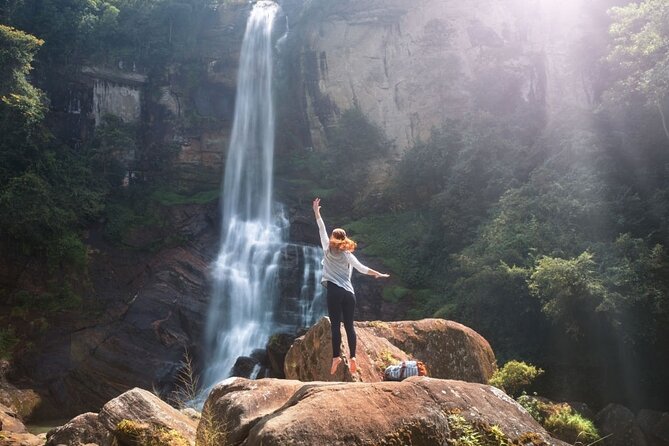 Ella Day Tour from Mirissa/Tangalle/Waligama - The Real Experience: Insights from Reviewers