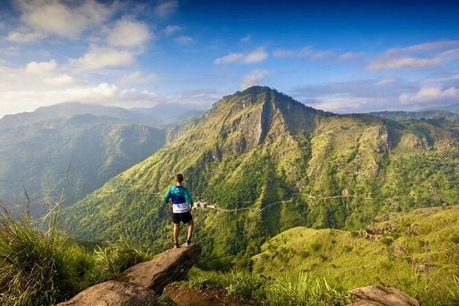 Ella Day Tour from Mirissa/Tangalle/Waligama - Dambethanna Tea Plantation