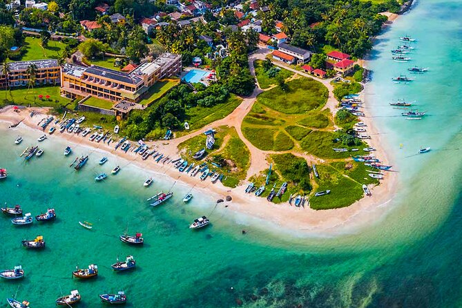 Aerial Whale Watching by Airplane from Koggala Airport (KCT) - Diving into the Experience