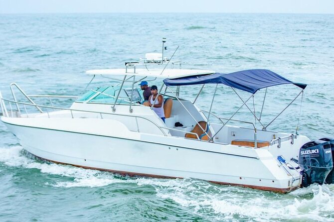 Private Whale Watching Tour by Luxury Speedboat from Mirissa - Final Thoughts: Is This Tour Right for You?