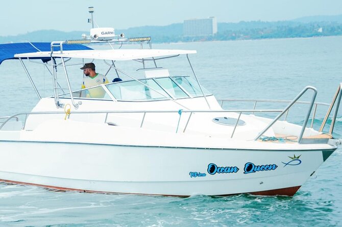 Private Whale Watching Tour by Luxury Speedboat from Mirissa - Discover the Ultimate Whale Watching Experience in Mirissa