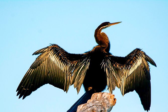 Bundala National Park Safari from Tangalle - Authentic Experiences and Insider Tips