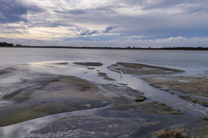 Bundala National Park Safari from Tangalle - Final Summary