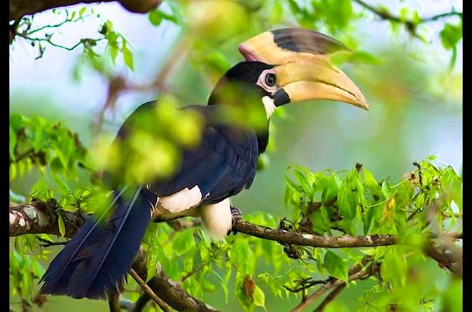 Bundala National Park Safari from Tangalle - Final Thoughts: Is this tour worth it?