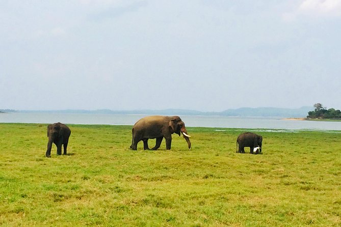 10 Day Explore Sri Lanka - FAQs