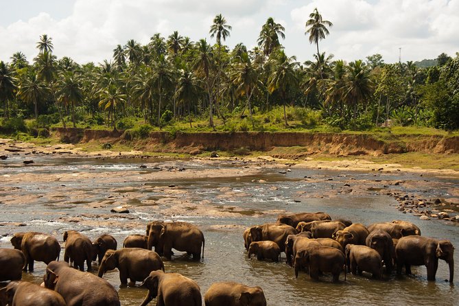 Uda Walawa Safari 1-Day-Tour from Mirissa, Weligama, Ahangama - Practical Tips for Travelers