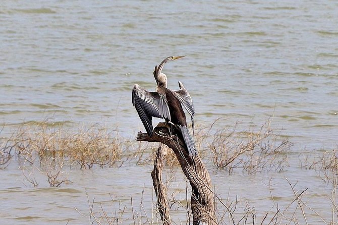 Udawalawa National Park half day Safari - FAQs