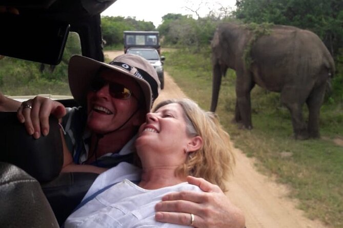 Explore The Beauty Of Udawalawe National Park From South Coast During 01 Day - Why This Tour Offers Incredible Value