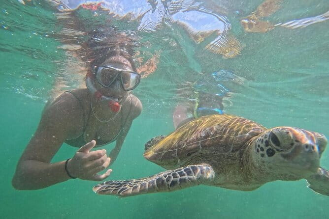 Mirissa Unforgettable Snorkeling Experience with Turtles - What to Expect Underwater