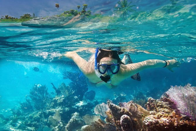 Mirissa Unforgettable Snorkeling Experience with Turtles - Price and Value