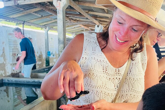 Galle Day Tour with Turtle Hatchery & River Boat Safari - How Does It Value Compare?