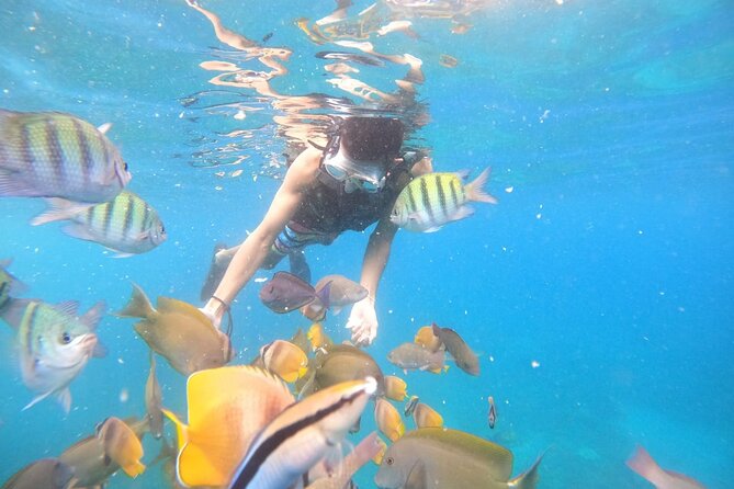 Private Snorkeling in Manta Bay, Gamat Bay & Wall at Nusa Penida - The Limitations and Considerations