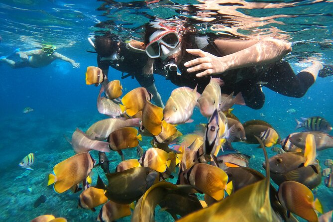 Private Snorkeling in Manta Bay, Gamat Bay & Wall at Nusa Penida - The Breakdown of the Tour: What You Can Expect