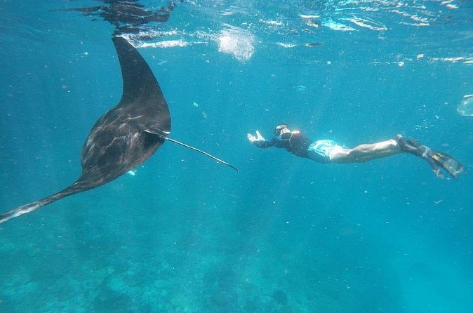 Private Snorkeling in Manta Bay, Gamat Bay & Wall at Nusa Penida - Final Thoughts: Is This Tour Right for You?