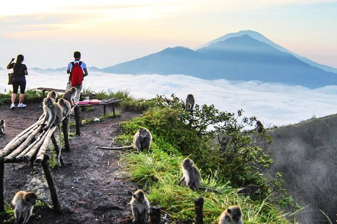 Stunning and Magnificent Kintamani Highland Tour with Barong Dance - Who Is This Tour Best For?
