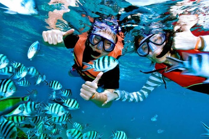 Snorkeling Experience At Blue Lagoon Bali With Lunch And Transfers - Key Points