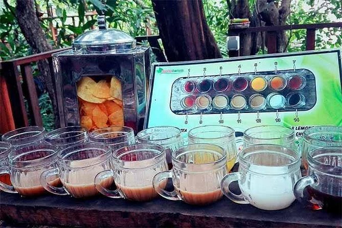 Full Day Kintamani and Penglipuran Village Private Chartered Car Tour from Bali - Final Thoughts: Is This Tour Worth It?