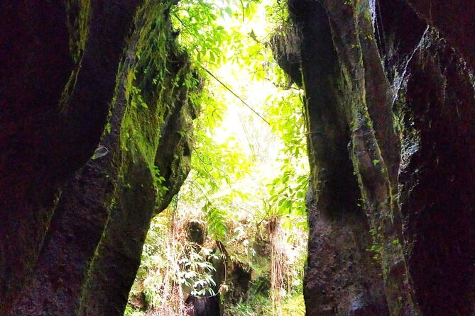 Best of Ubud Waterfalls Private Tour - Frequently Asked Questions