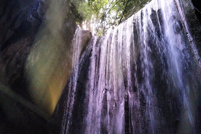 Best of Ubud Waterfalls Private Tour - Authentic Feedback from Travelers