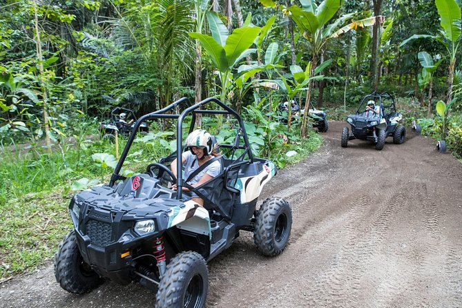 Half Day Jungle Buggies in Bali with Guide - Key Points