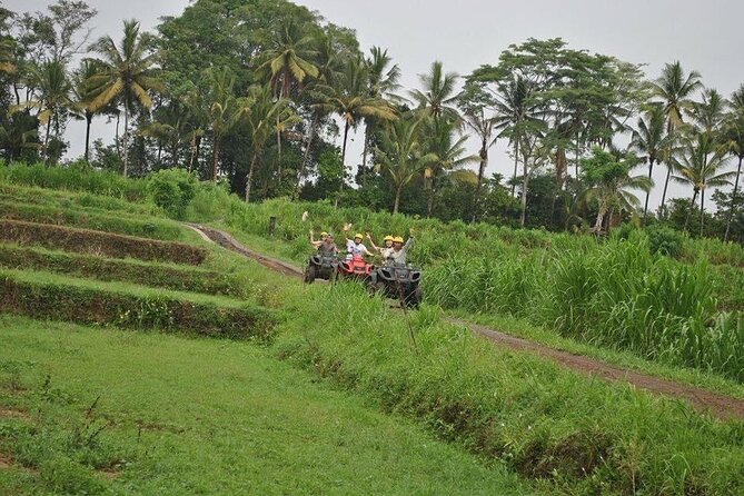 Bali Swing heaven combine ATV ride ubud - Diving Into the Details of the Tour  