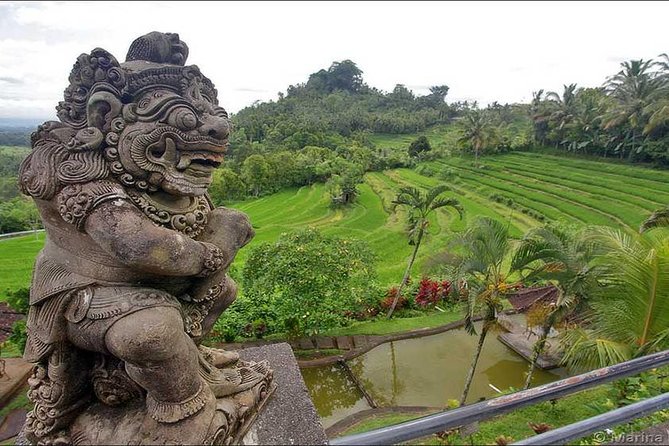 Tour: Besakih Temple-Kintamani Volcano-Water temple&Rice Terrace - Value and Practicality