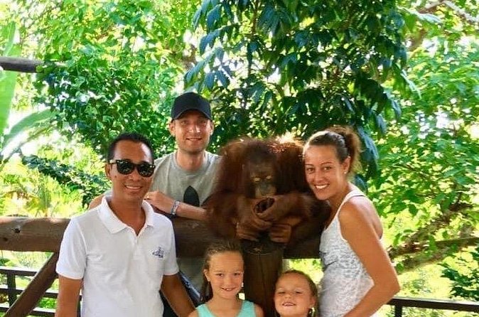 Things to do - Breakfast with Orang Utan - Who Is This Tour Best For?