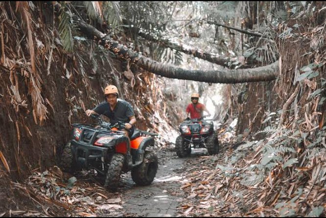 Bali Wild Jungle Expedition: Jungle Hopper & Quad ATV Adventure - Key Points