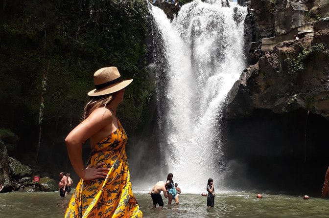 Private Ubud Tour Package - Discovering Local Art at Semar Kuning