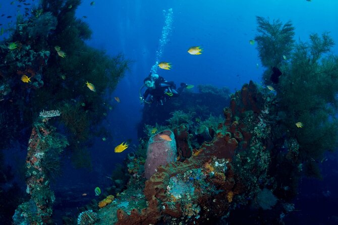 Bali: Tulamben Scuba Diving at USS Liberty Shipwreck - Key Points