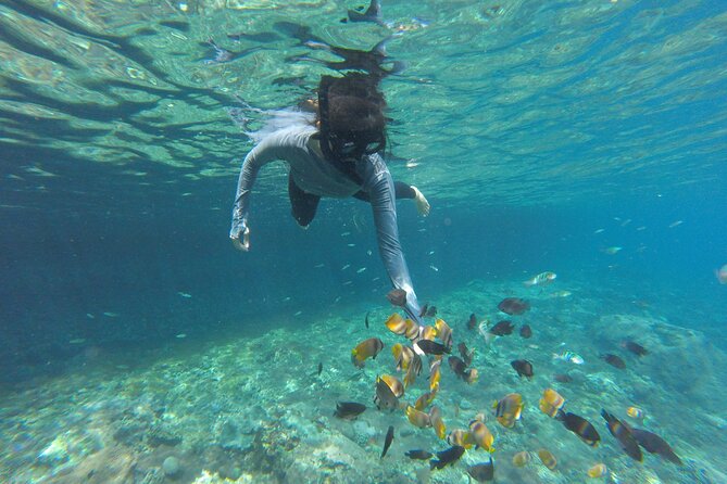 Ultimate Nusa Penida Experience 2D1N Private Tour  All-Included - Practical Considerations and Tips