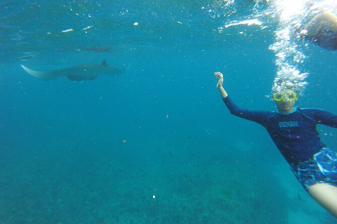 Ultimate Nusa Penida Experience 2D1N Private Tour  All-Included - Full Breakdown: What to Expect from the Ultimate Nusa Penida Experience