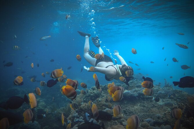 Ultimate Nusa Penida Experience 2D1N Private Tour  All-Included - Key Points