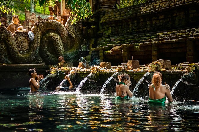 Best Ubud Tour Private Tour All Inclusive Package - Good To Know