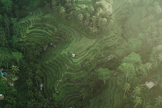 Best of Ubud Full Day Private Tour - Who Should Take This Tour?