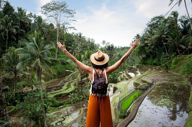 Private Ubud Day Tour Waterfalls Sacred Monkeys and Rice Fields - Final Thoughts