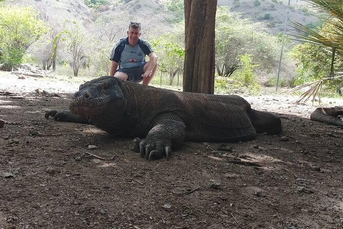 Komodo Island Adventure from Bali (Day Trip) - The Sum Up