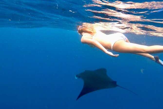 Private All Inclusive Nusa Penida Snorkeling and Tour - What Reviewers Say