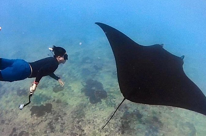 Private All Inclusive Nusa Penida Snorkeling and Tour - Who Is This Tour Best Suited For?