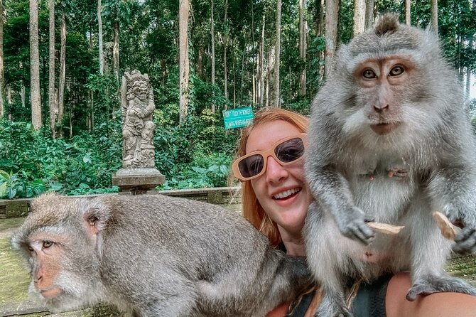 Ubud Monkey Forest Water Temple Waterfall and Rice Terrace - What’s Included and What to Expect