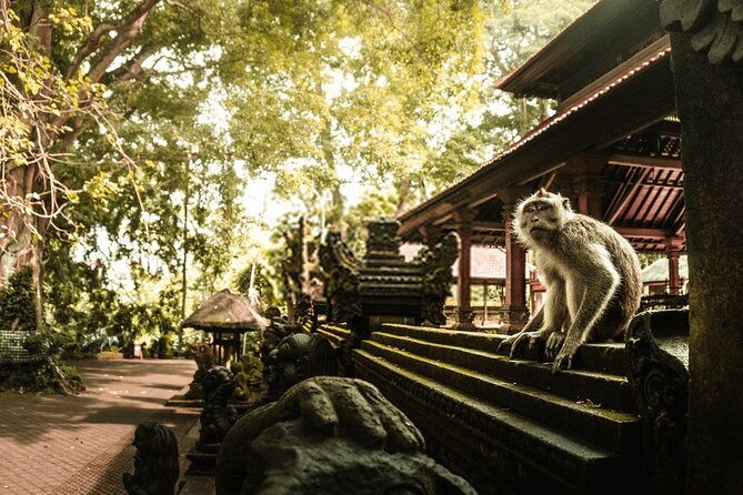 Ubud Monkey Forest Water Temple Waterfall and Rice Terrace - Who Would Enjoy This Tour?