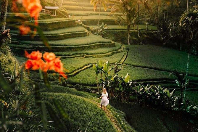 Ubud Monkey Forest Water Temple Waterfall and Rice Terrace - Frequently Asked Questions