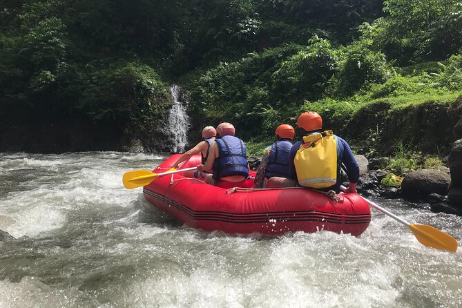 Rafting Adventure 18 km and Balinese Village Life Tour with Lunch - Who Is This Tour Best For?