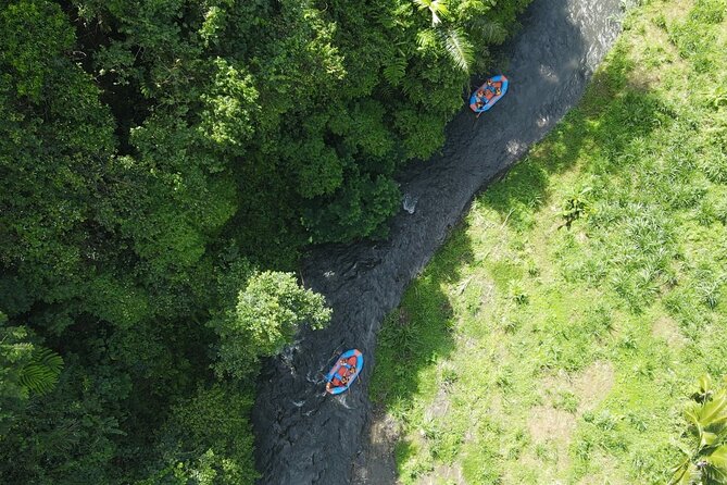 Rafting Adventure 18 km and Balinese Village Life Tour with Lunch - Practical Details and Tips