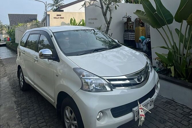 Bali Full Day Private Car Charter with Professional Driver - The Itinerary in Detail: What to Expect