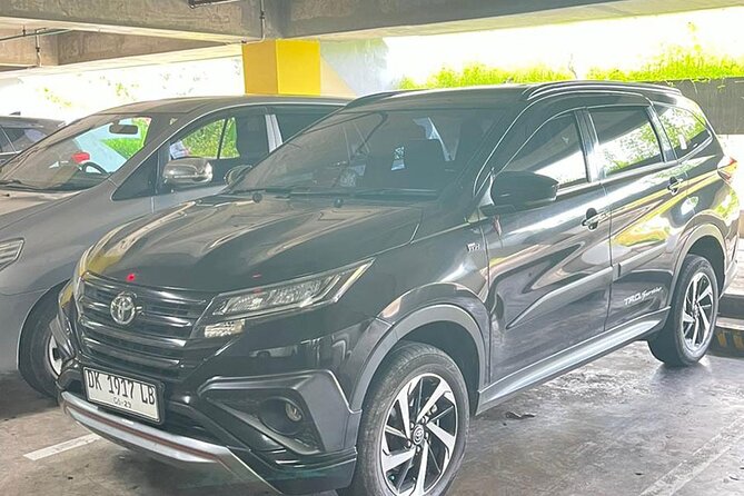 Bali Full Day Private Car Charter with Professional Driver - Authentic Experiences and Notable Highlights