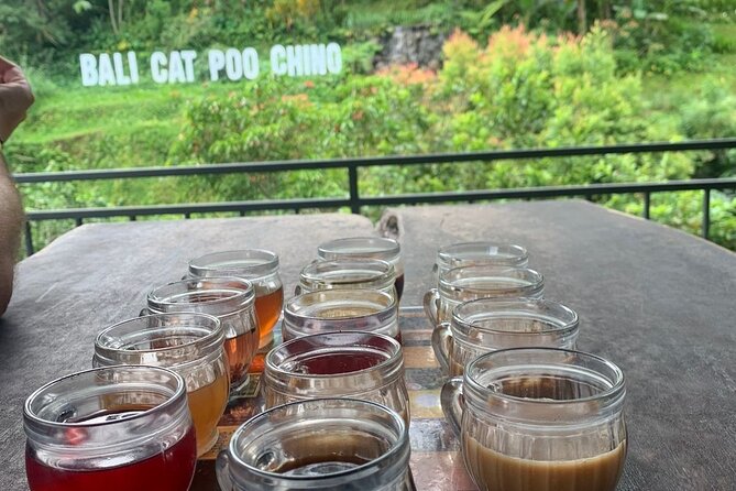 Bali ATV Quad Bike and Ayung Rafting with All Inclusive Tour - Who Will Love This Tour?