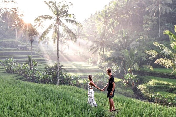 Private Inclusive Tour: The Best Of Ubud With Jungle Swing - Who Will Love This Tour?